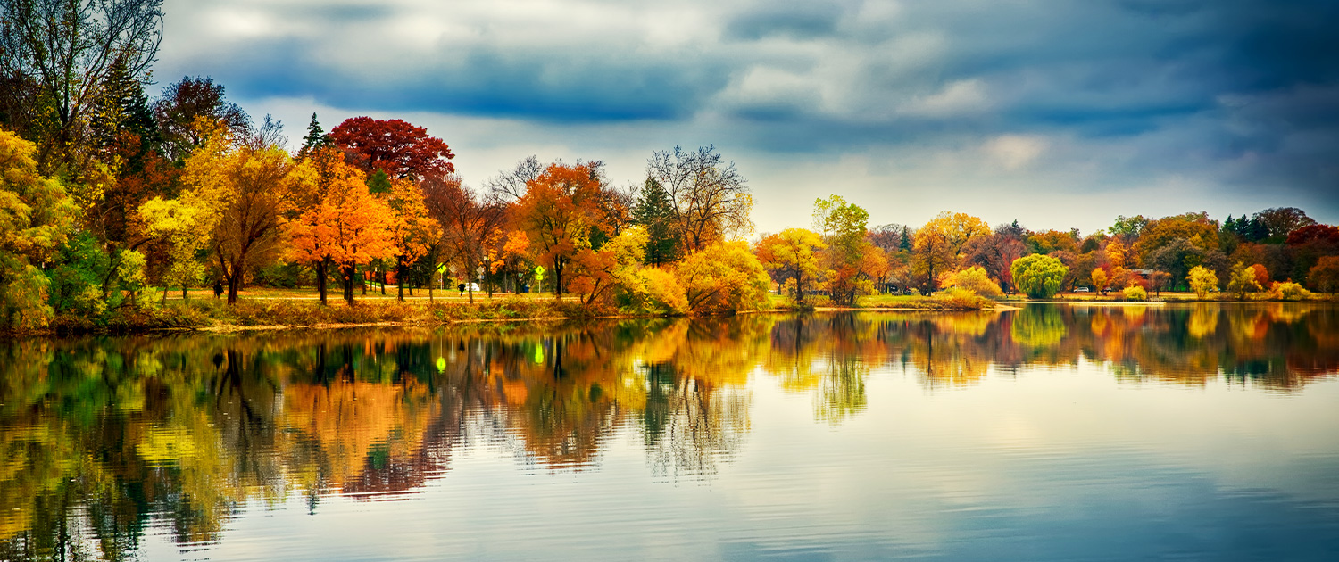 Map for St. Paul location